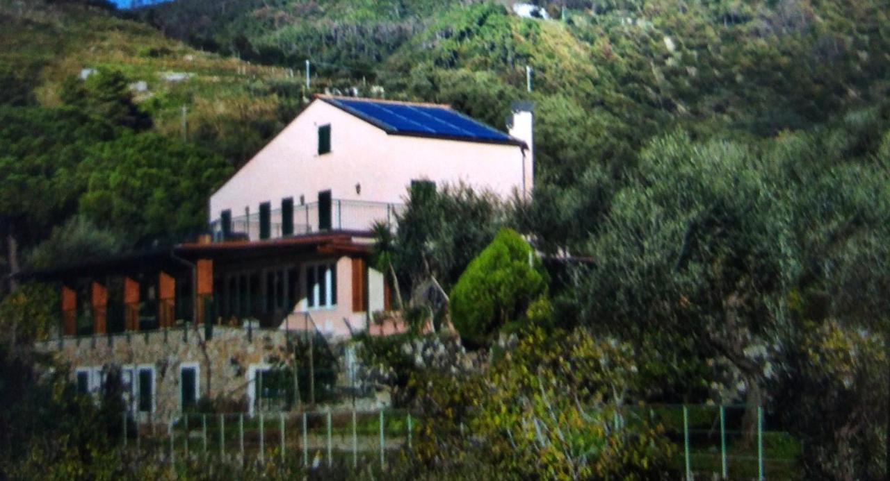 La Cabana Cinque Terre Monterosso Монтероссо-аль-Маре Екстер'єр фото