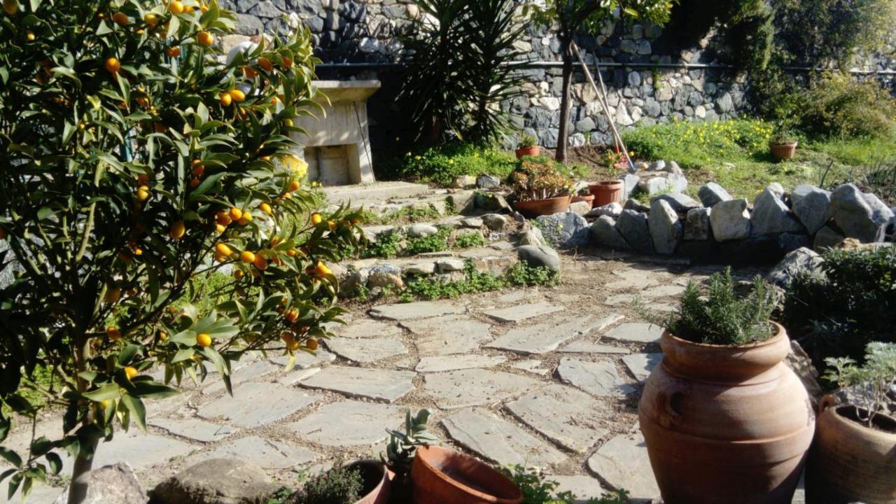 La Cabana Cinque Terre Monterosso Монтероссо-аль-Маре Екстер'єр фото